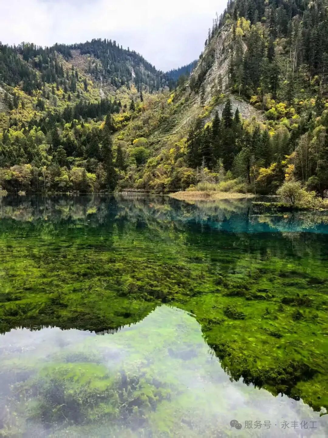 2025年10月九寨溝都江堰團(tuán)建之旅